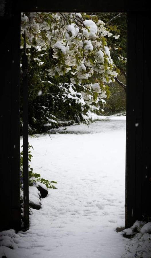 Arden Country House Bnb - Entire House To Yourself -Peace In The Country Дюндин Екстериор снимка