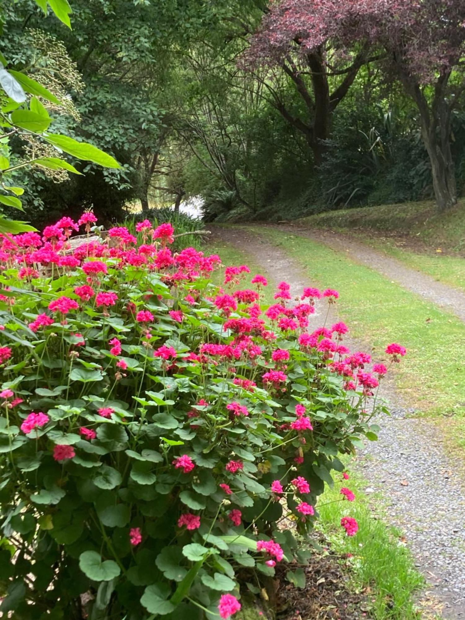 Arden Country House Bnb - Entire House To Yourself -Peace In The Country Дюндин Екстериор снимка